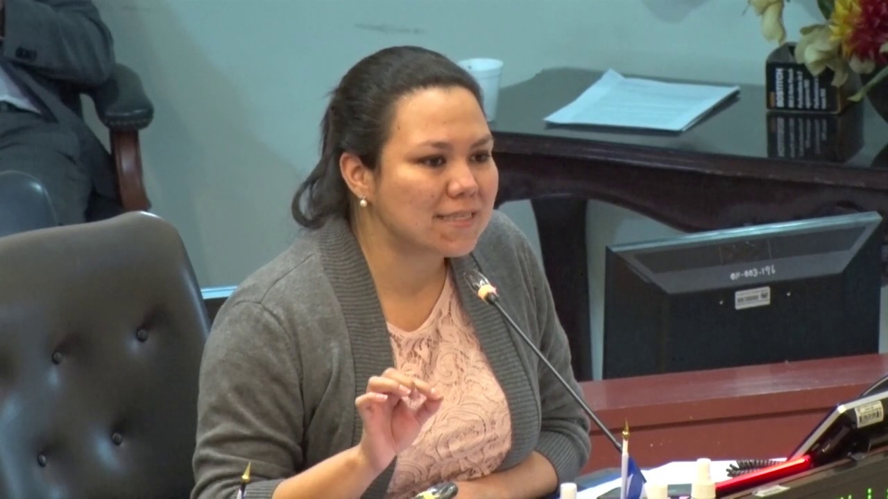 anabel-belloso-afirma-que-los-gobiernos-del-fmln-redujeron-sustancialmente-los-homicidios